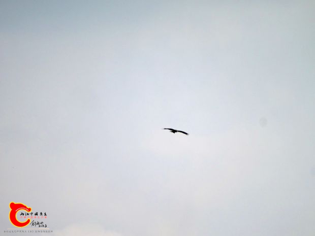 DSC00005_副本.jpg