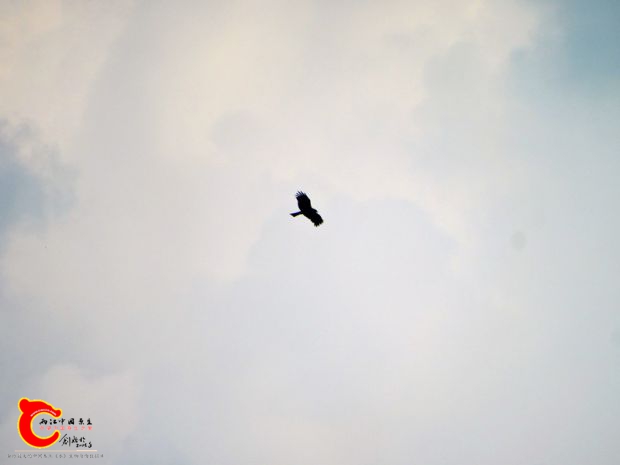 DSC00007_副本.jpg