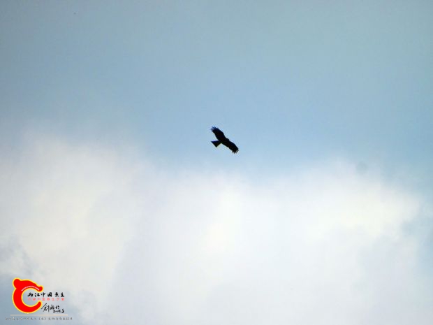 DSC00008_副本.jpg