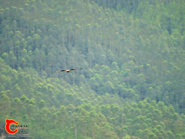 DSC00041_副本.jpg