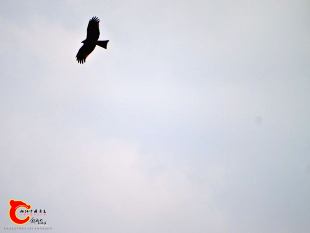DSC00042_副本.jpg