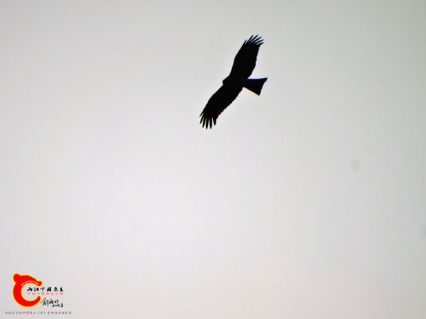 DSC00043_副本.jpg