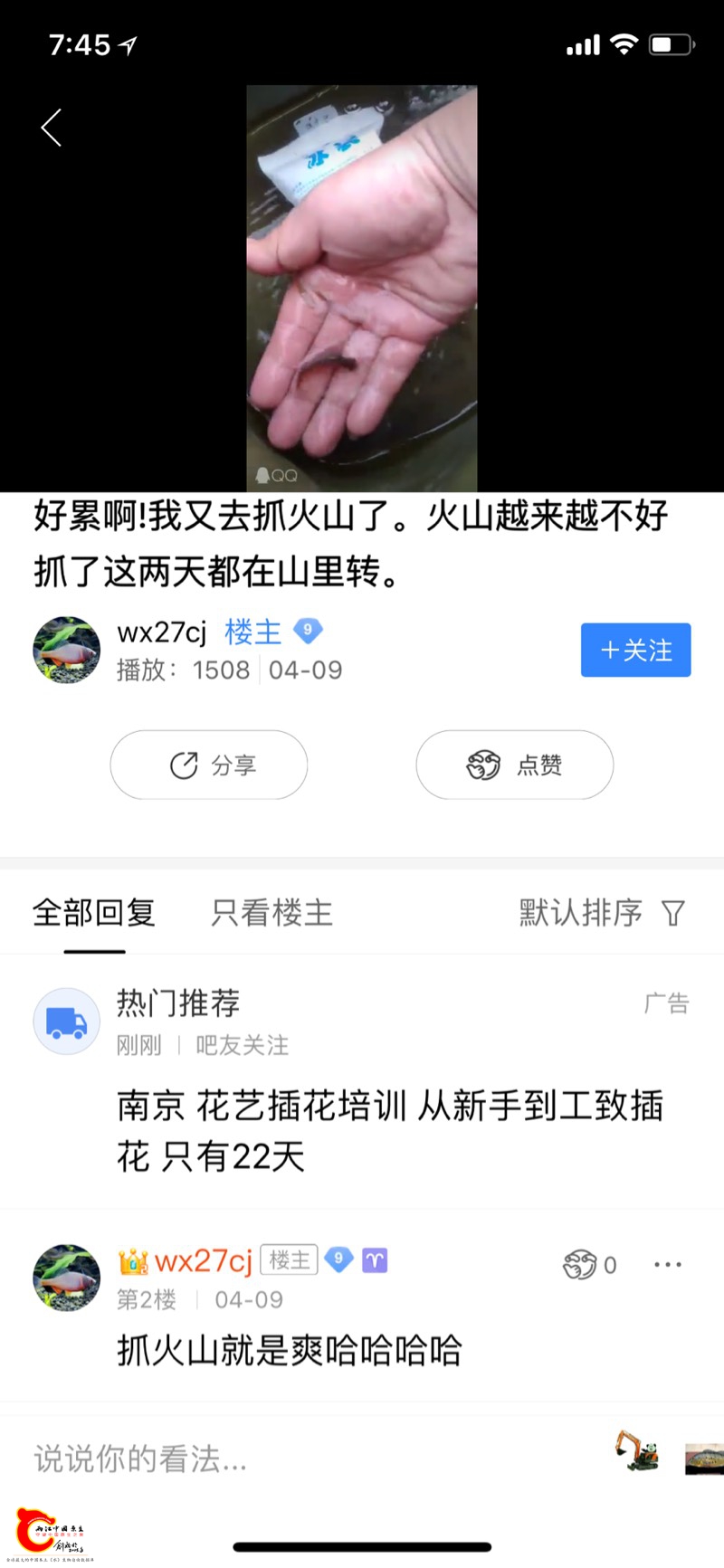 164849q5d71012520g7t52.jpg