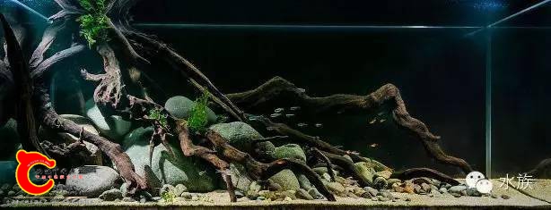 102403eeeg67bfgukxb12k.jpg