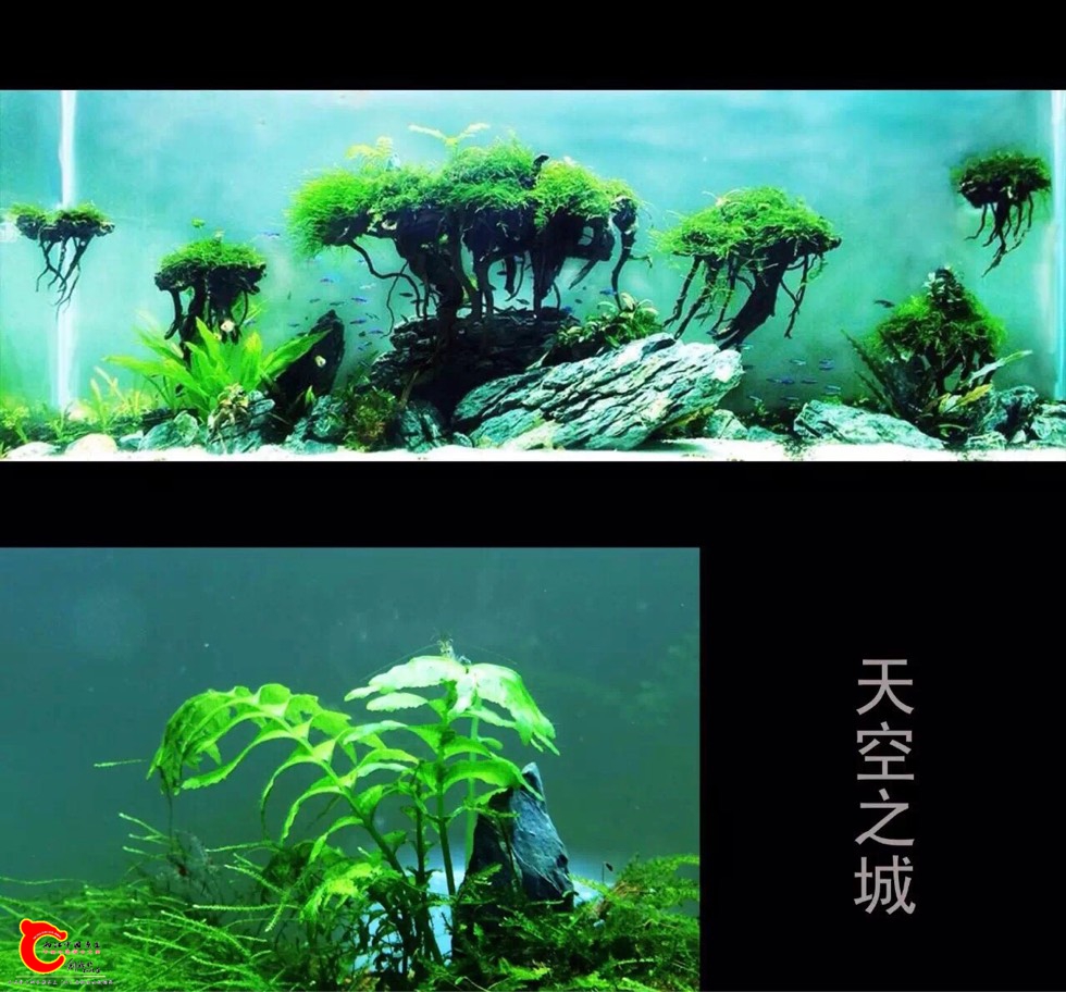 163734u8i22m8v09seas22.jpg