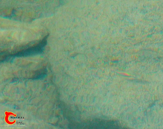 DSC00068_副本.jpg