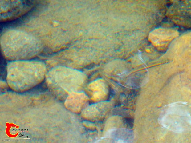 DSC00070_副本.jpg