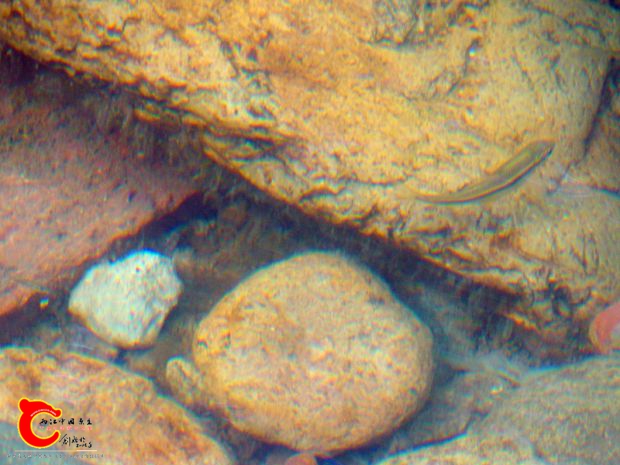 DSC00072_副本.jpg