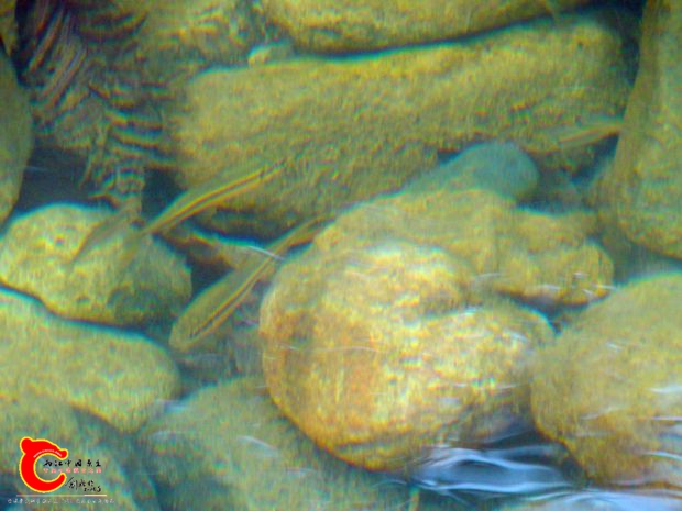 DSC00073_副本.jpg