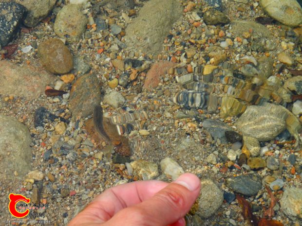 DSC00061_副本.jpg