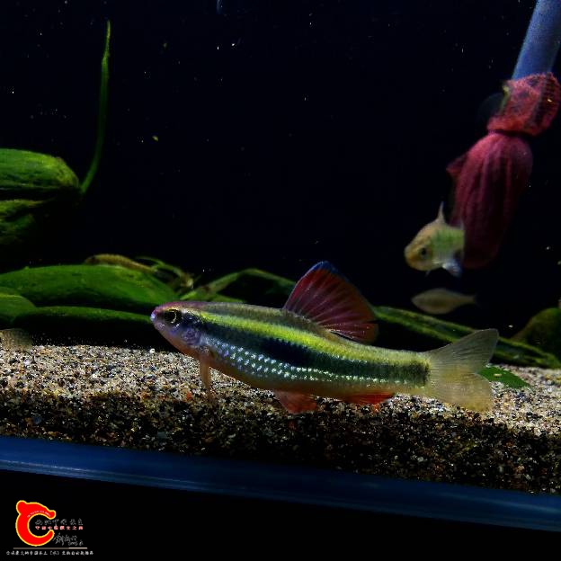 200736vv3kf2vfspksp23h.jpg