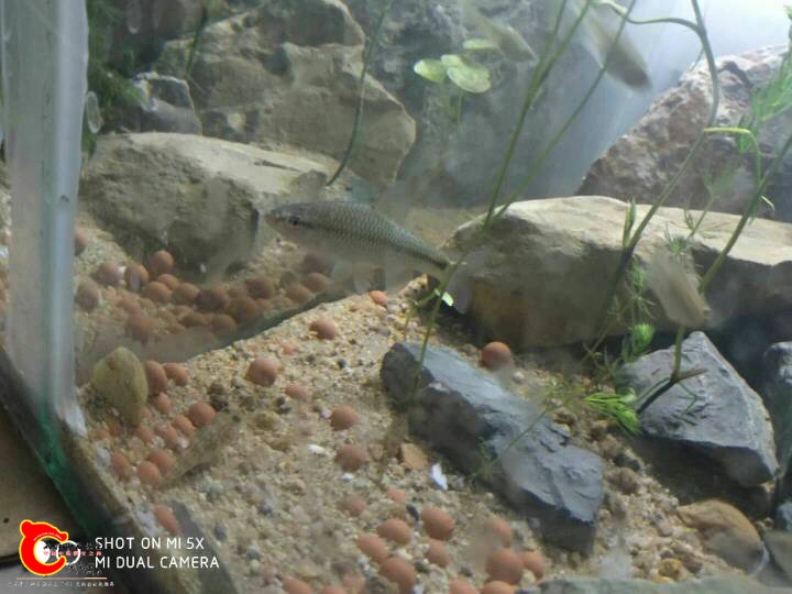 234554yd30c688uckua74s.jpg