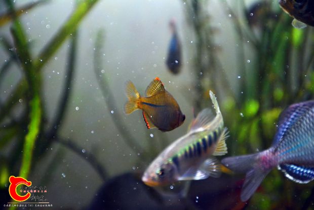 DSC_4047.JPG