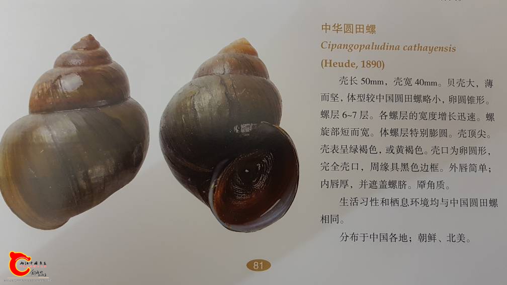 203001jjw8zir82n888jdf.jpg