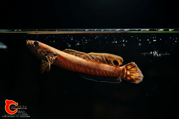 DSC_8228.jpg