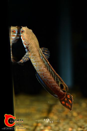 DSC_8262.jpg