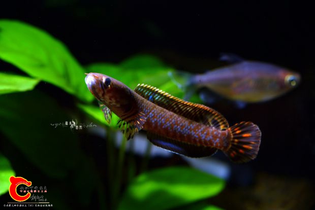 DSC_8291.jpg