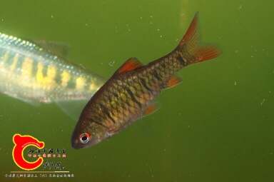 080022ayin7ckx7n7bkxb7.jpg