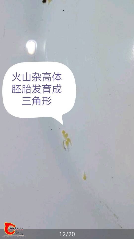 125155q2wkdcp828p7joc3.jpg