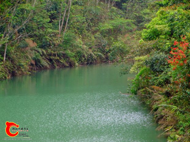 DSC00011_副本.jpg