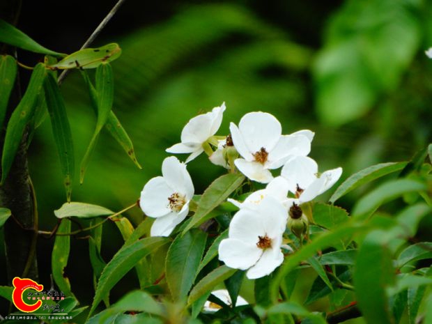 DSC00022_副本.jpg