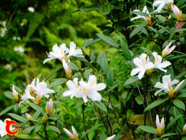 DSC00024_副本.jpg