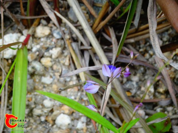 DSC00044_副本.jpg