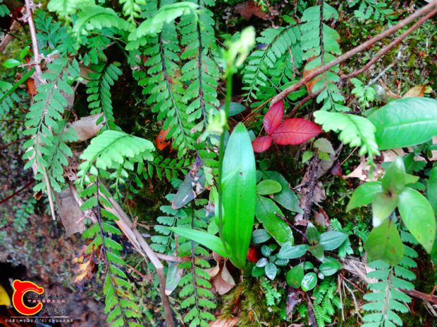 DSC00048_副本.jpg