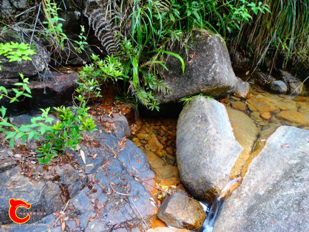 DSC00078_副本.jpg