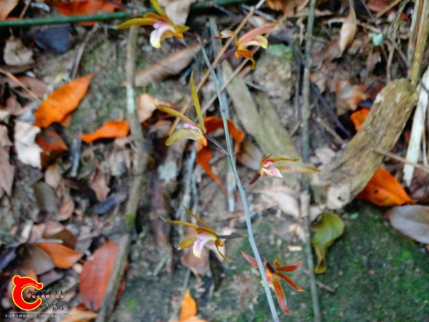 DSC00083_副本.jpg