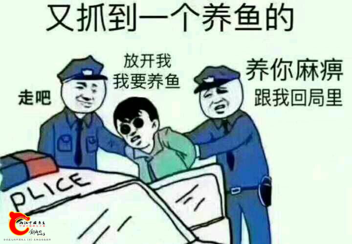 174348k38j858o55kmabn6.jpg