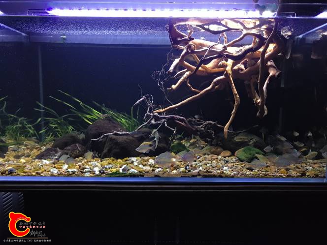 225208z00zwh7500w8h179.jpg