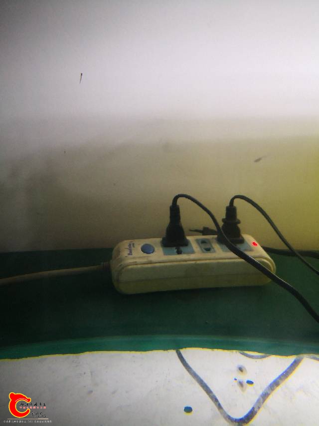 214936yskzvdtzmslt5dks.jpg