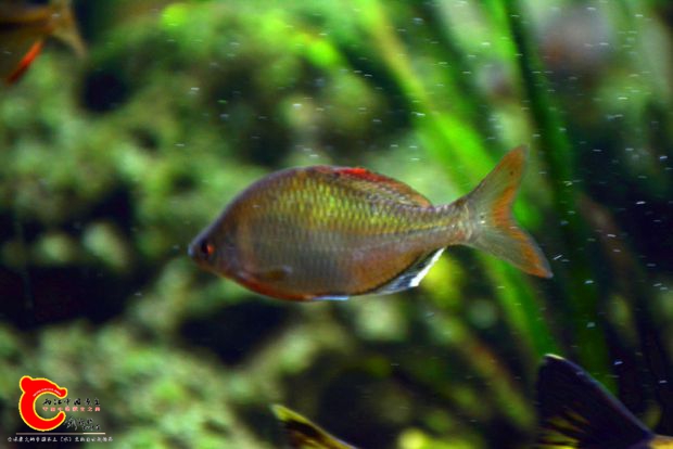 DSC_4068.JPG
