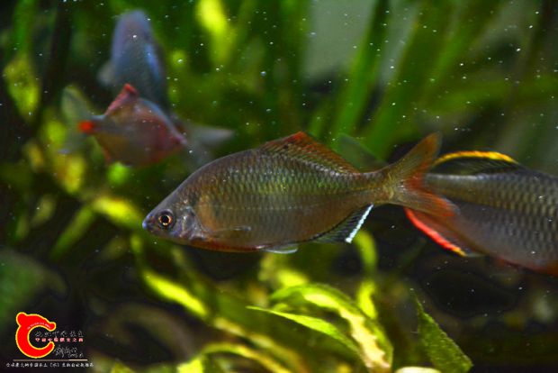 DSC_4081.JPG