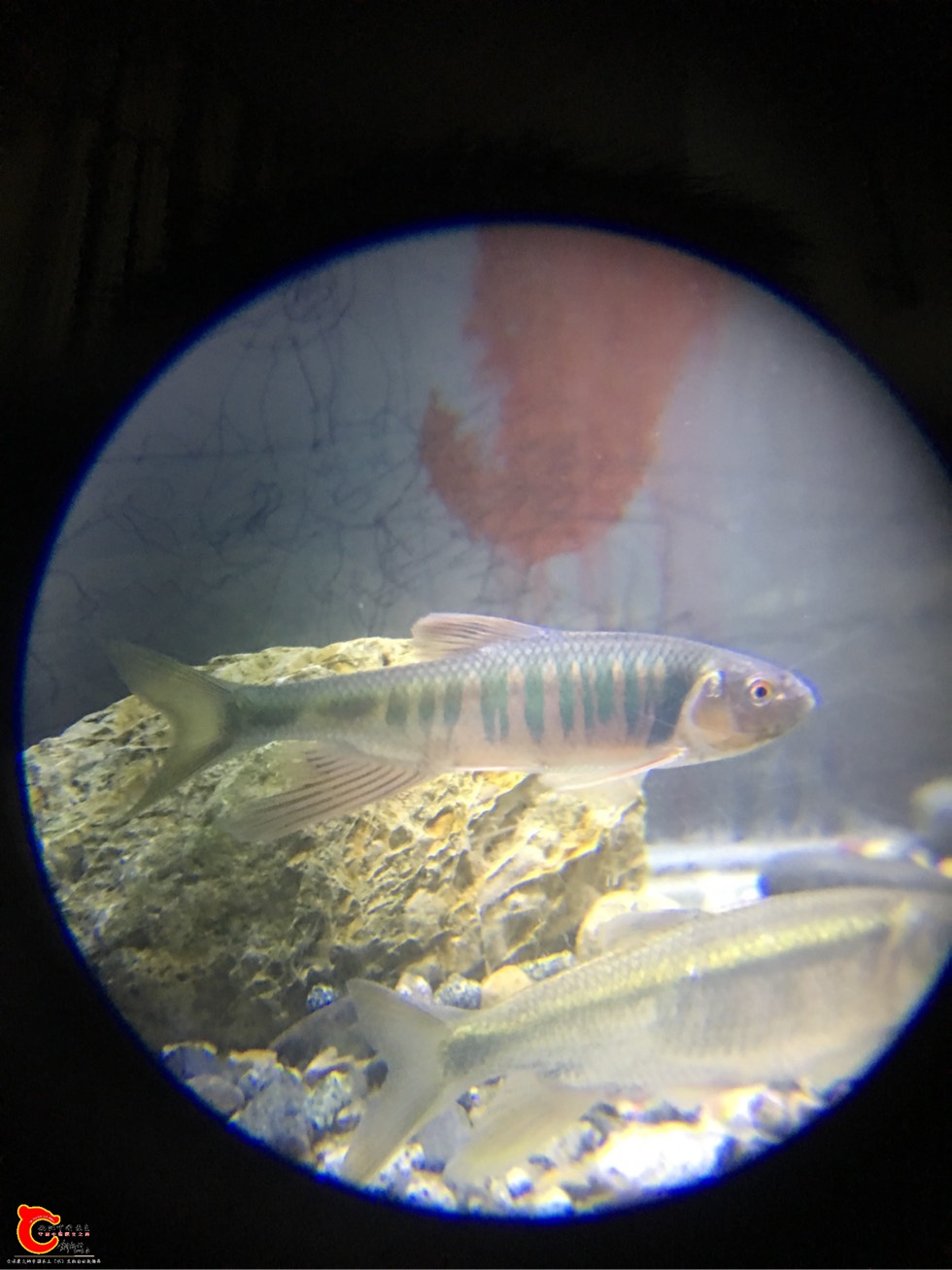 225219lee6qc91qz54te1u.jpg