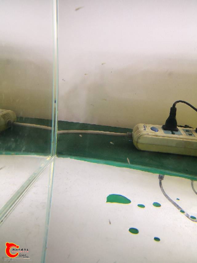 230656lu5sbk5l8rr5sem8.jpg
