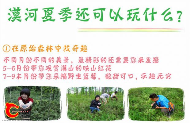 北极光宣传图片6.jpg