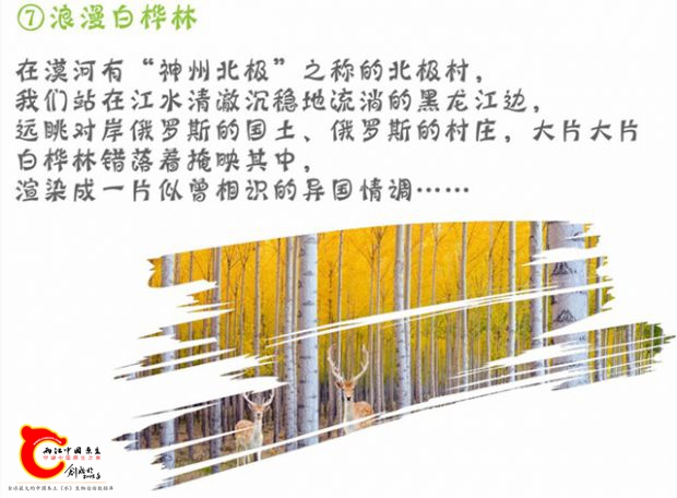 北极光宣传图片12.jpg