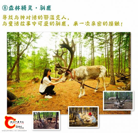 A北极光宣传第二张13.jpg