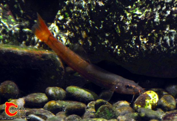 DSC_4089.JPG
