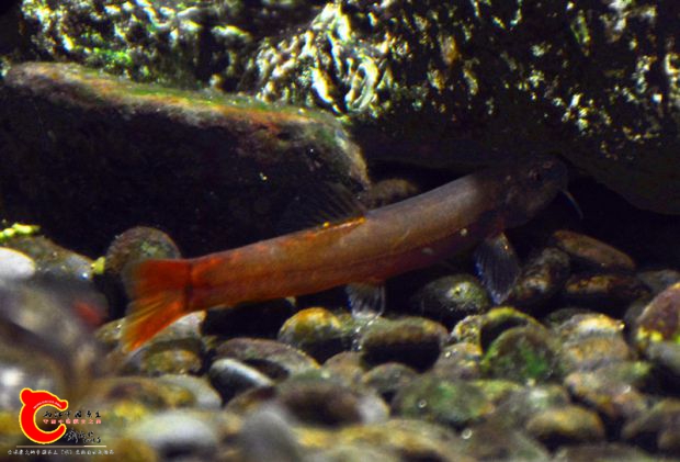 DSC_4094.JPG