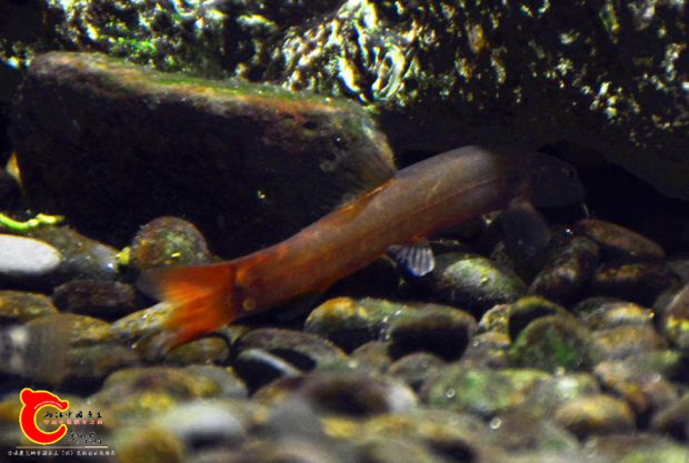 DSC_4095.JPG