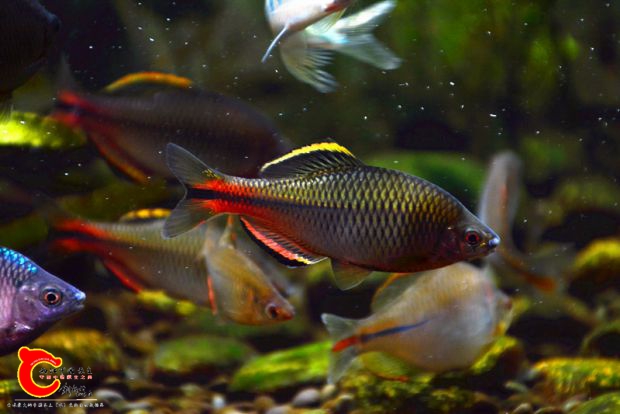 DSC_4026.JPG