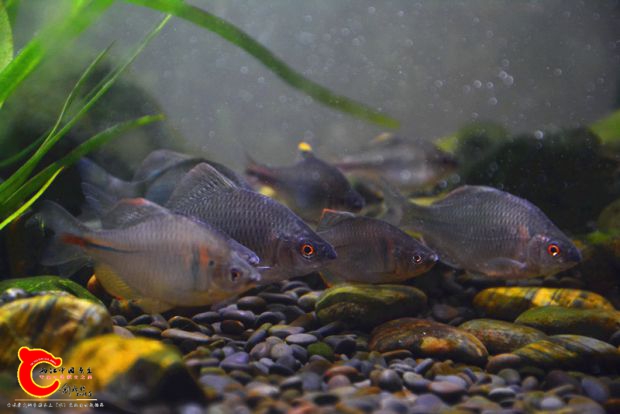 DSC_3534.JPG