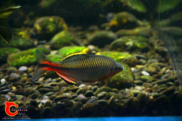 DSC_4121.JPG