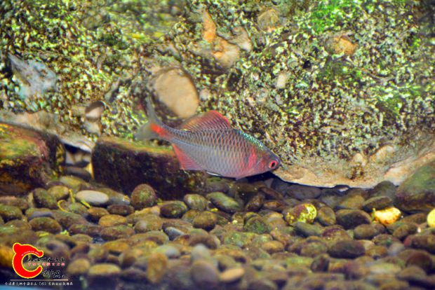 DSC_4143.JPG