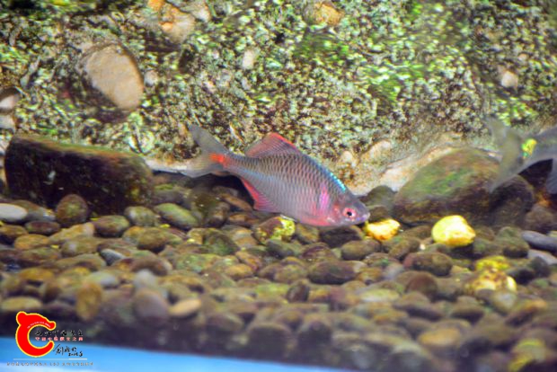 DSC_4144.JPG