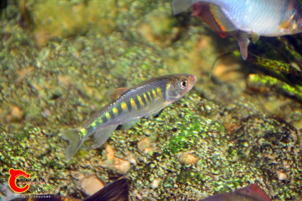 DSC_4150.JPG