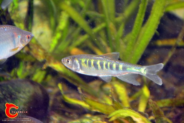 DSC_4151.JPG